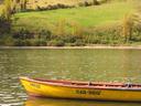Chiloe is all water and green hills.